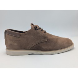 CETTI-C1351