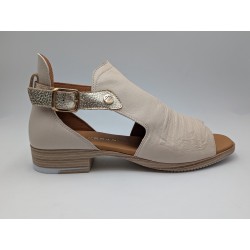 PAULA URBAN 729