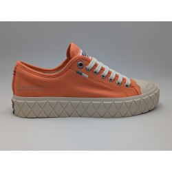 PALLADIUM-PALLA ACE CVS