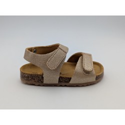 PLAKTON-PATRI 860037